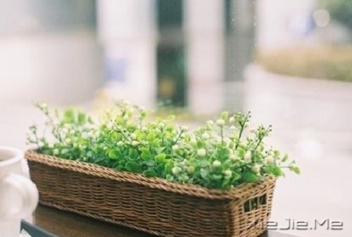 晚安心语：你没那么多观众，别那么累 (7)